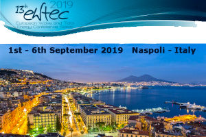 Logo of the 13th EWTEC, Naples, Italy